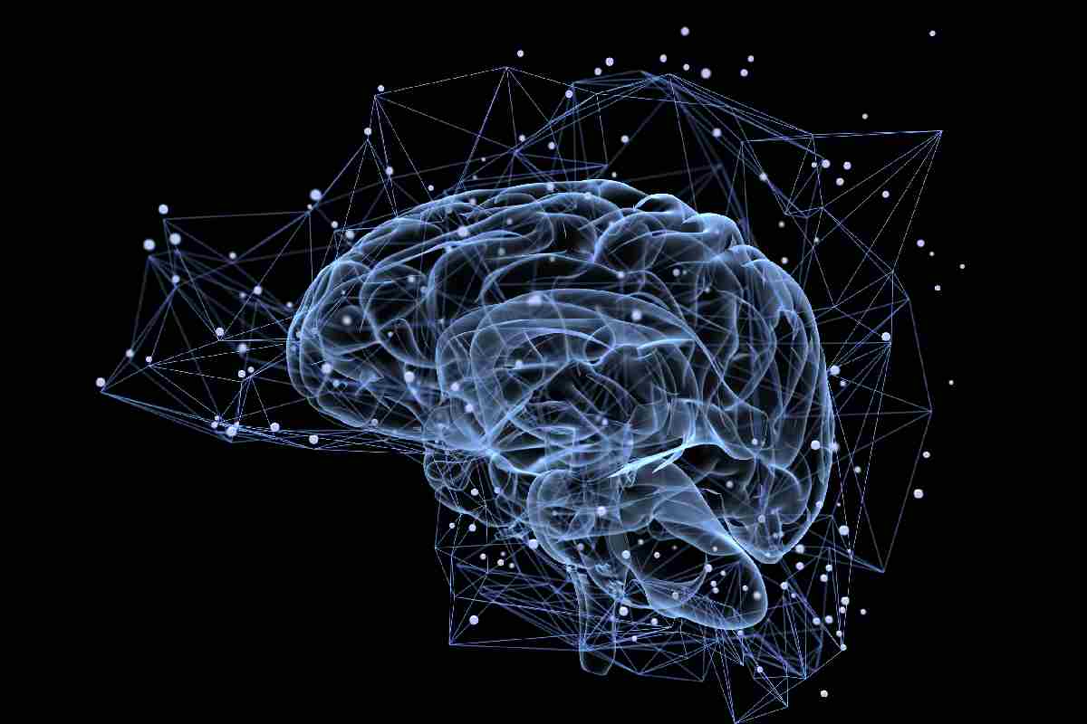 Brain Write For Us, Submit Guest Post and Contribute