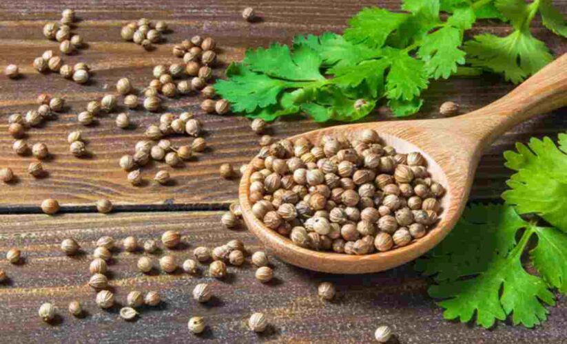 The Best Coriander Substitute