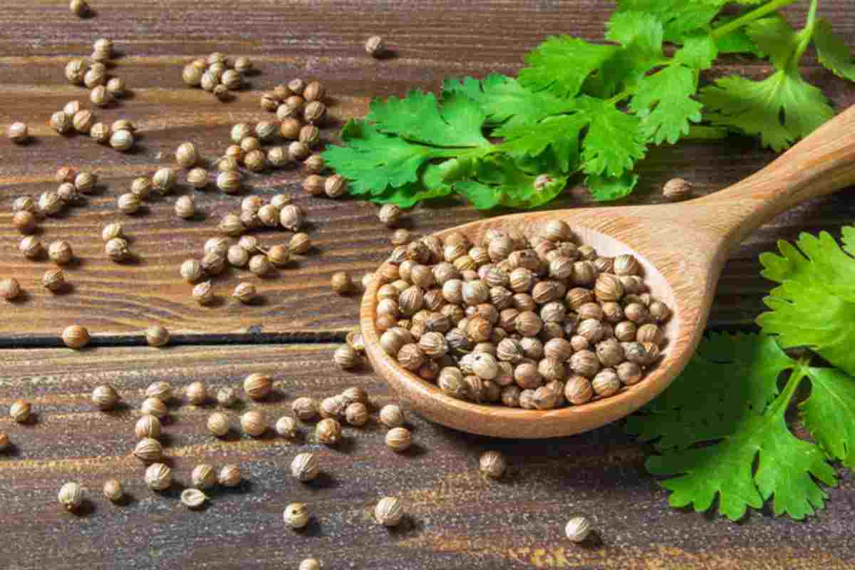 The Best Coriander Substitute
