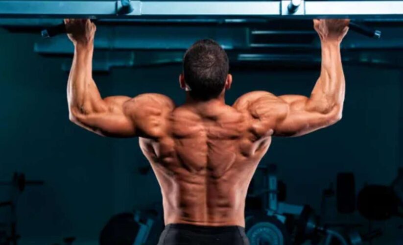 Wellhealth How To Build Muscle Tag