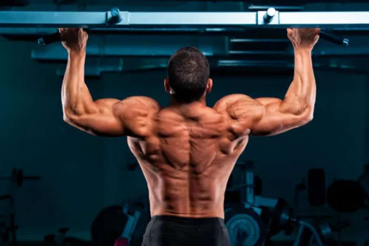Wellhealth How To Build Muscle Tag